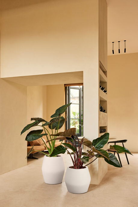 june split low 46cm linen white